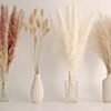 65PCS Pampas Grass Decor, Including pompas Floral, Reed Dried Grass and Bunny Tails Dried Flowers, Natural Dried Pampas Grass Bouquet for Boho Decor Wedding, Home Decoration