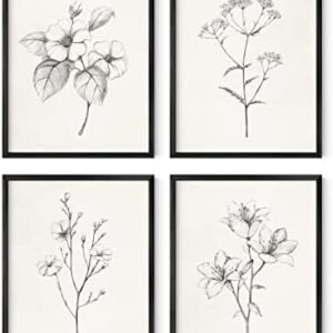 HAUS AND HUES Framed Vintage Botanical Prints - Set of 4 Framed Farmhouse Bedroom Wall Decor, Rustic Art for Bathroom, Farmhouse Decor Pictures for Living Room, Boho Decor (8x10, Framed Black)