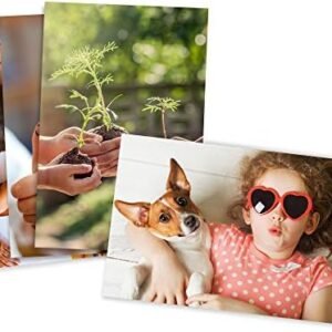 Photo Prints – Glossy – Standard Size (4x6)