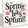 Spring Decor, Wood Plaque Table Art Sign, Inspirational Spring Quotes, Rustic Desk Sign, Floral Seasonal Sign, Home Decor Accents, Farmhouse Decor for Home Shop Cafe Hostel Office, Spring Has Sprung