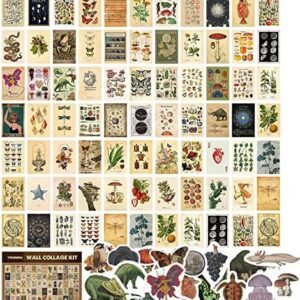 100 PCS Vintage Posters, Collage Kit Aesthetic Pictures, Cottagecore Room Decor for Bedroom, Cute Dorm Photo Wall Decor for Teen Girls, Botanical Wall Art…