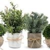 4Pcs Small Fake Plants for Home Decor - Faux Plants Indoor for Bathroom Decor - Small Artificial Plants Indoor Mini Greenery in White Pot for Farmhouse Kitchen Room Shelf Office Decor