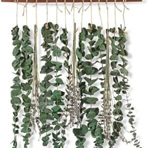 Bathroom Decor Real Eucalyptus for Shower and Lavender Fresh Eucalyptus Stems Wall Hanging Decor Fragrance Greenery Wall Hanging for Wedding Decor,Bedroom,Living Room,Kitchen,Boho Home Decor