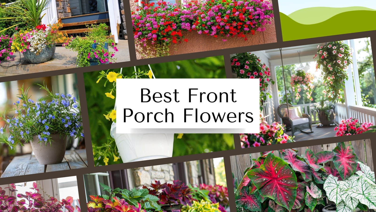 Front Porch Flowers