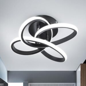 CANEOE Modern Led Ceiling Light Fixture, 6000K Cool White Small Hallway Ceiling Light, Black Close to Ceiling Lights for Hallway Bedroom Bathroom Entryway Balcony Stair Curved Design Ceiling Lamp