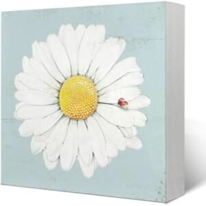 Daisy Decor,Daisy Bathroom Decor, Daisy Home Decor,Daisy Decorations for Home, Daisy Kitchen Decor And Accessories, Daisy Room Decor,Daisy Flowers Wooden Box Sign 5x5 Inch