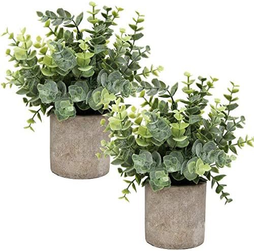 Flojery Mini Potted Plants Artificial Eucalyptus Boxwood Rosemary Faux Herbs Small House Plants 8.3"-9" Tall for Indoor Greenery Tabletop Décor Centerpiece (Sprayed Eucalyptus)